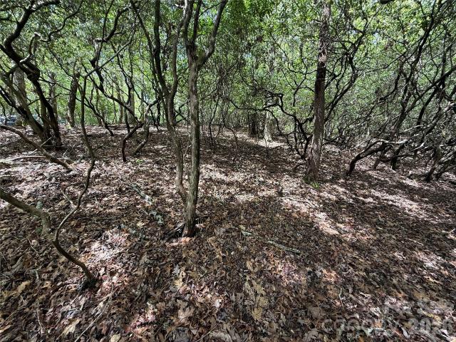 Land for sale in Transylvania, North Carolina