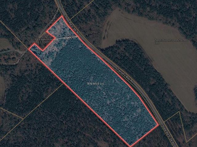 Land for sale in Centenary, South Carolina