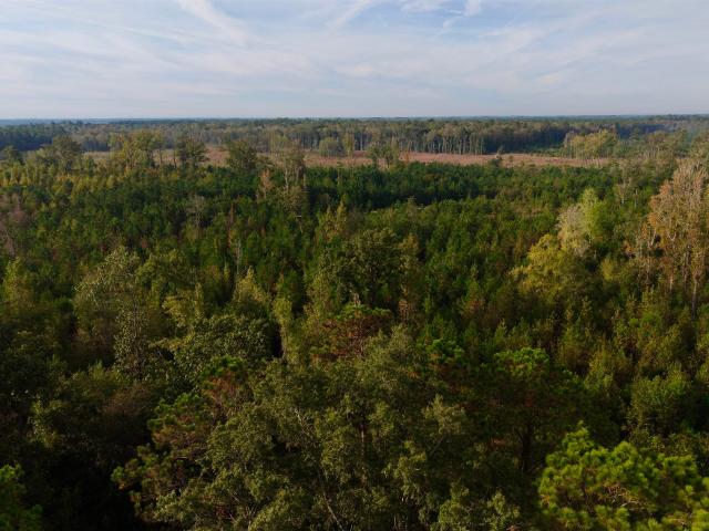 Land for sale in Tabernacle, Centenary