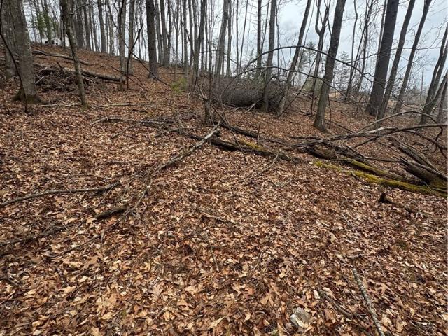 Land for sale in Alleghany, North Carolina