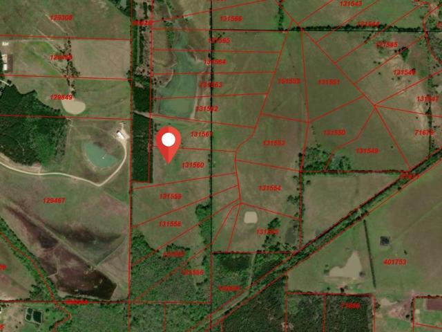 Land for sale in Lamar, Texas