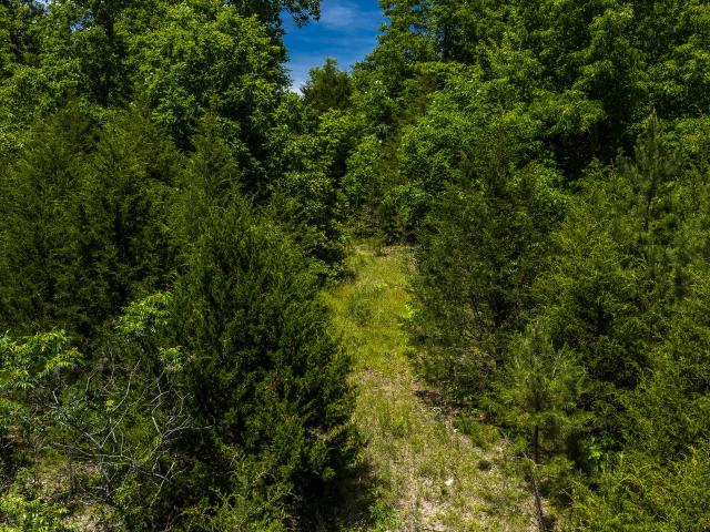 Land for sale in Raymondville, Missouri