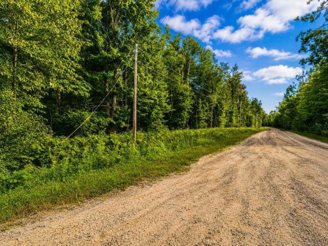 Land for sale in Michigan