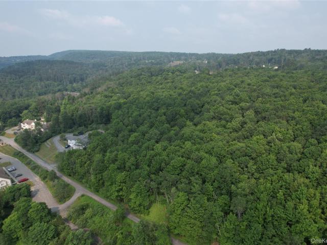 Land for sale in Claryville, New York