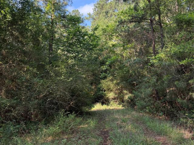 Land for sale in Grimes, Texas