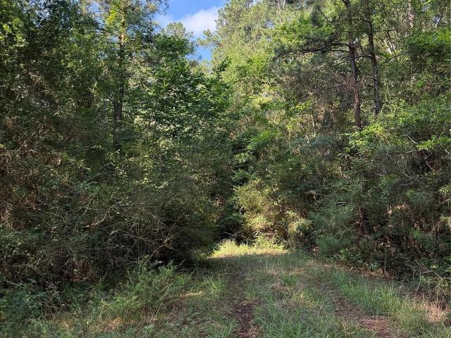 Land for sale in Navasota, Grimes County