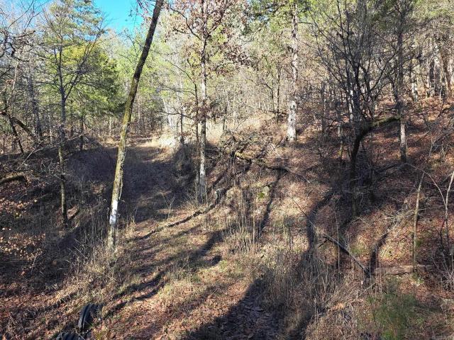 Land for sale in Ark