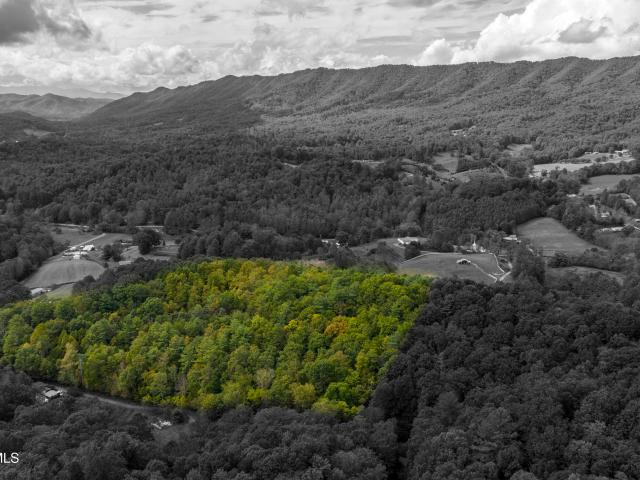Land for sale in Tennessee