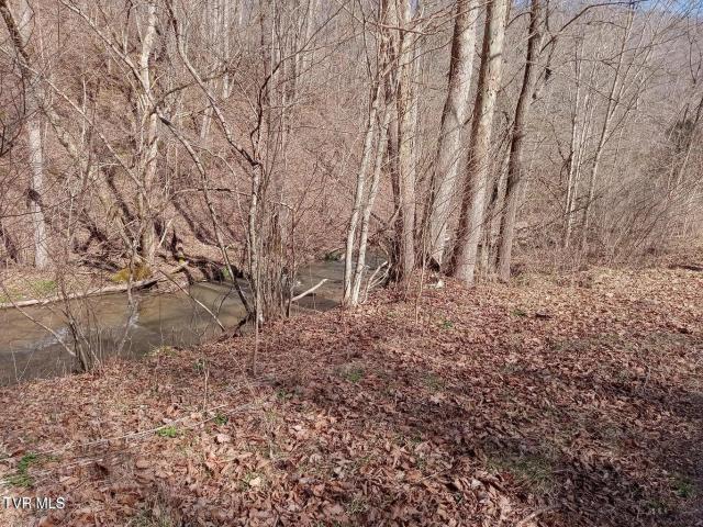 Land for sale in Virginia