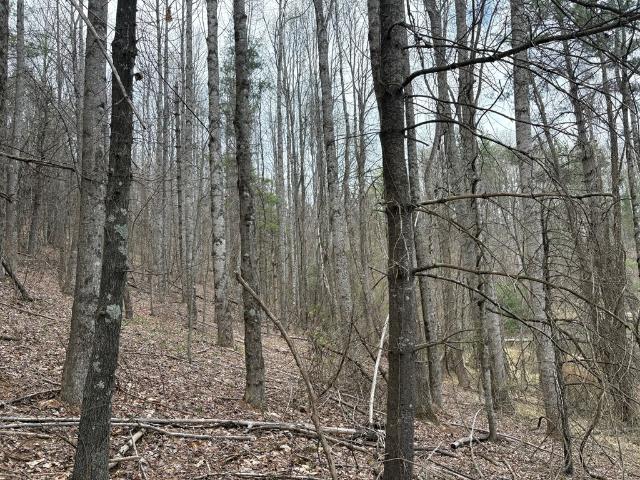 Land for sale in Virginia