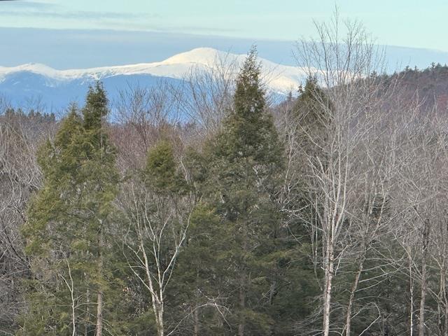 Land for sale in New Hampshire