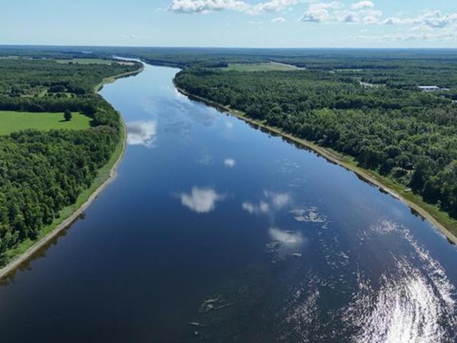 Land for sale in International Falls, Minnesota