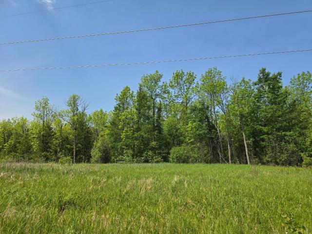 Land for sale in Littlefork, Minnesota