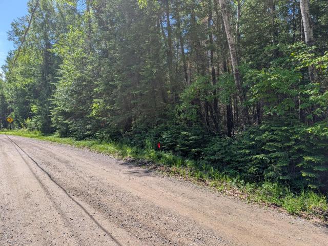 Land for sale in International Falls, Minnesota