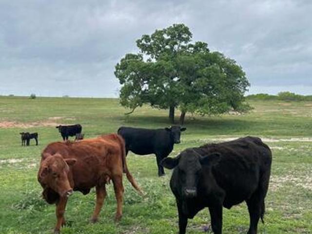 Land for sale in Poteet, Texas