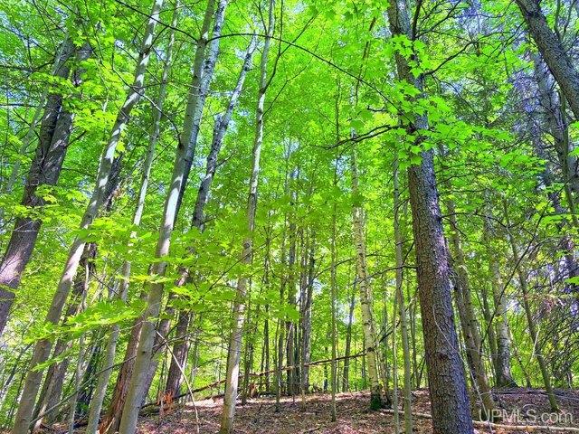 Land for sale in Marquette, Michigan