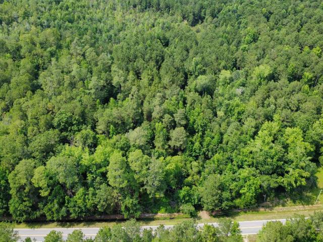 Land for sale in Green Sea, South Carolina
