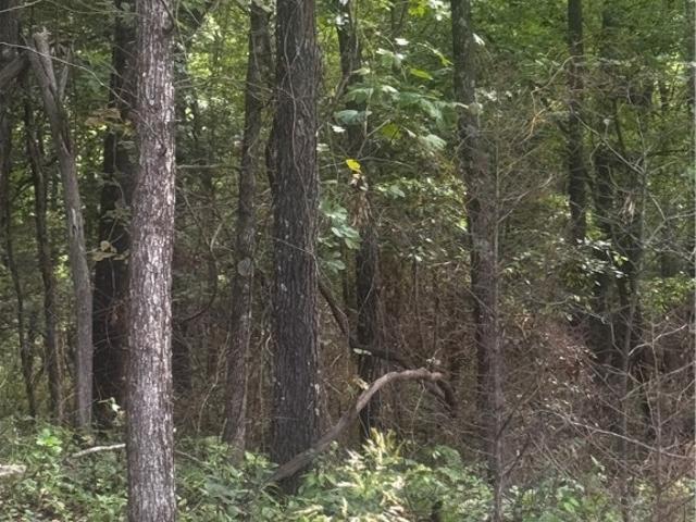 Land for sale in Sallisaw, Oklahoma