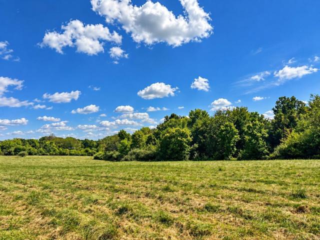 Land for sale in Holts Summit, Callaway County