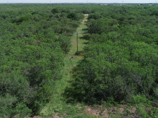 Land for sale in Goliad, Texas