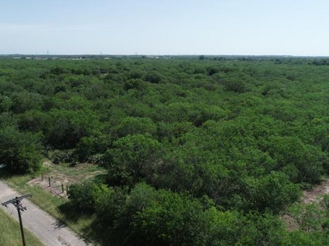Land for sale in Goliad, Texas