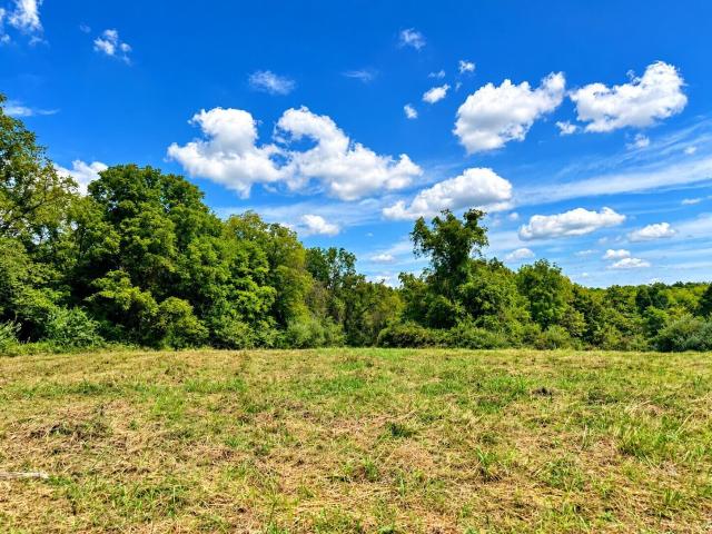 Land for sale in Holts Summit, Callaway County