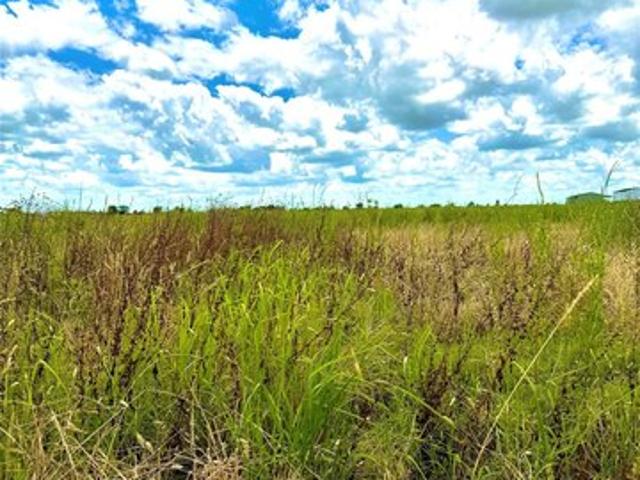 Land for sale in Eagle Lake, Texas