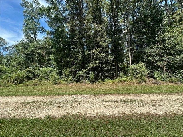 Land for sale in Independence, Louisiana