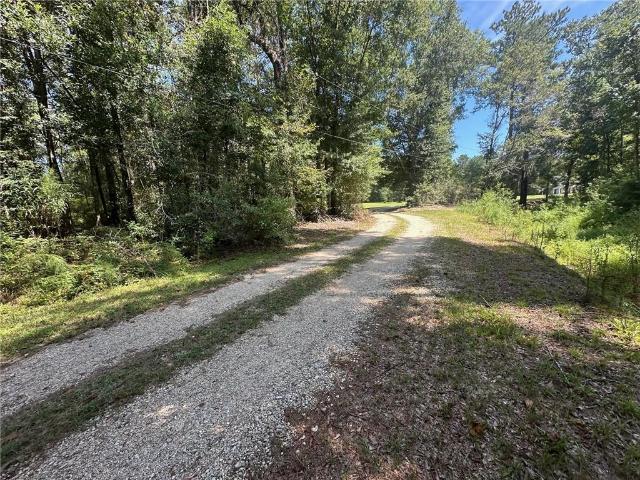 Land for sale in Independence, Louisiana