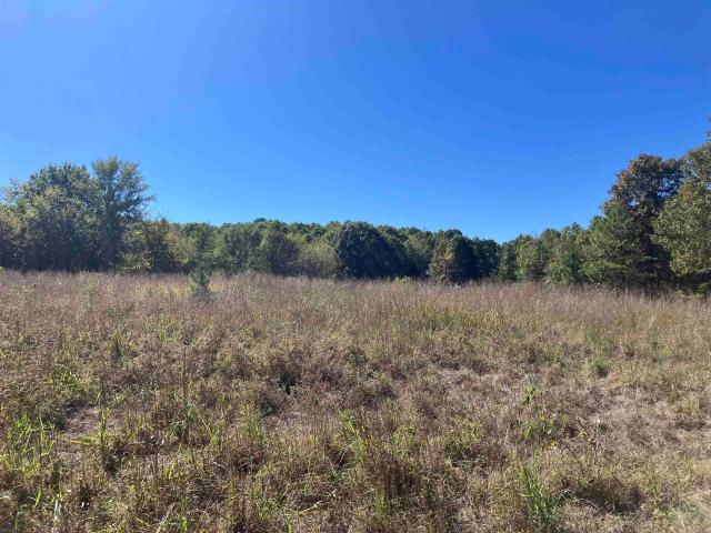 Land for sale in Mena, Polk County