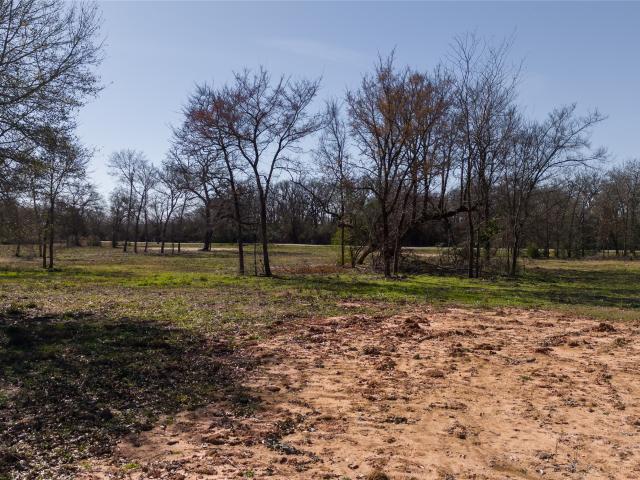 Land for sale in Madisonville, Texas