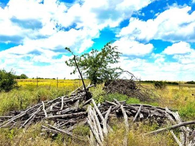 Land for sale in Stephenville, Texas