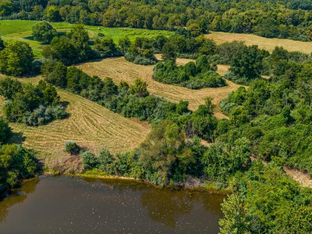 Land for sale in Holts Summit, Callaway County