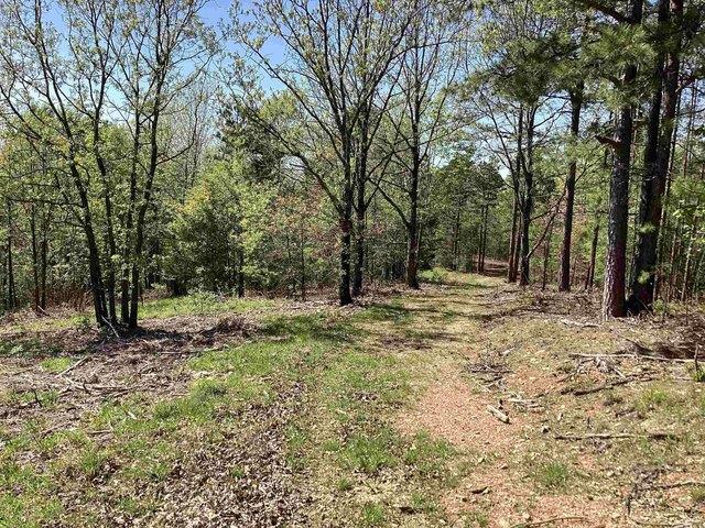 Land for sale in Ark