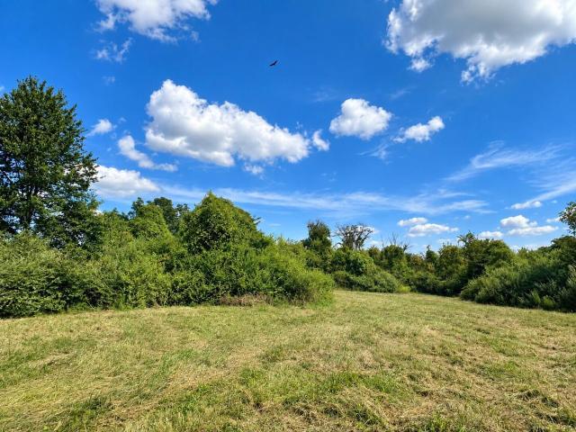 Land for sale in Holts Summit, Callaway County