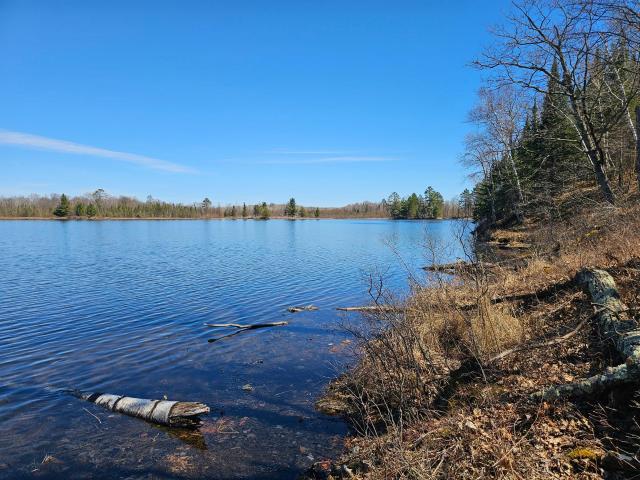 Land for sale in Minnesota