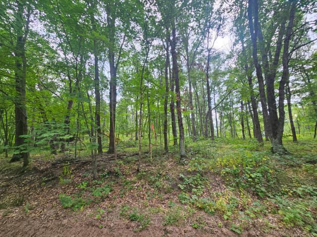 Land for sale in Baxter, Minnesota