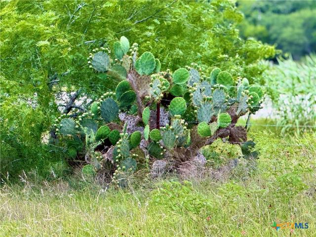 Land for sale in Smiley, Texas