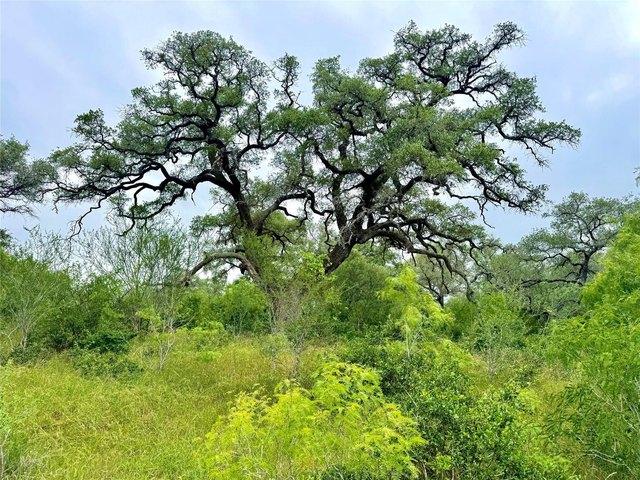 Farm for sale in Smiley, Texas
