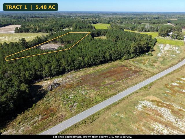 Land for sale in Nichols, Horry County
