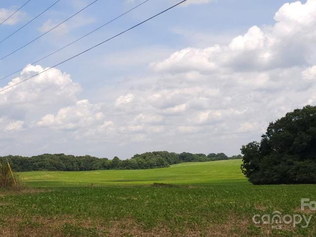Land for sale in Peachland, North Carolina