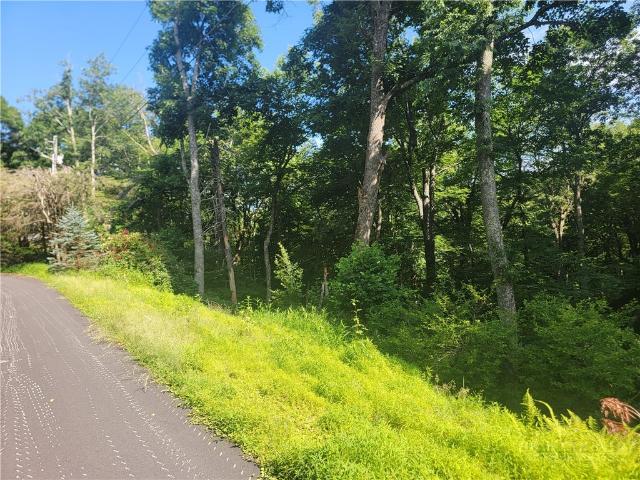 Land for sale in Watauga, North Carolina