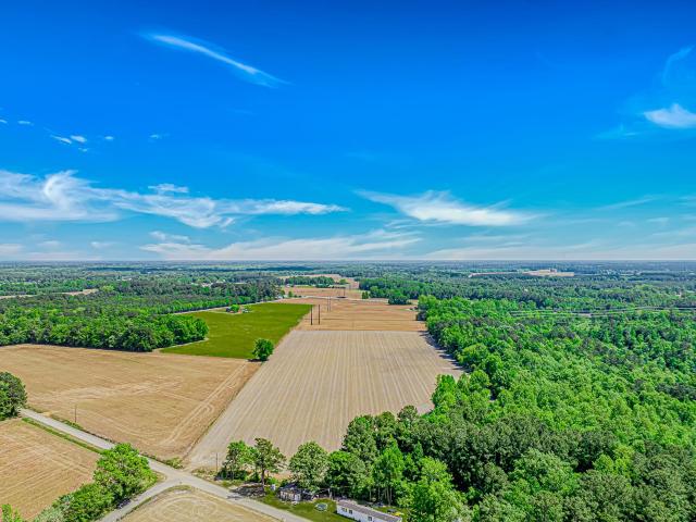 Land for sale in Coward, South Carolina