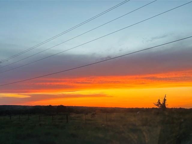 Land for sale in Lovelady, Texas