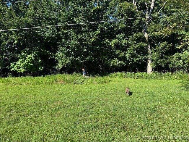 Land for sale in Sunrise Beach, Missouri