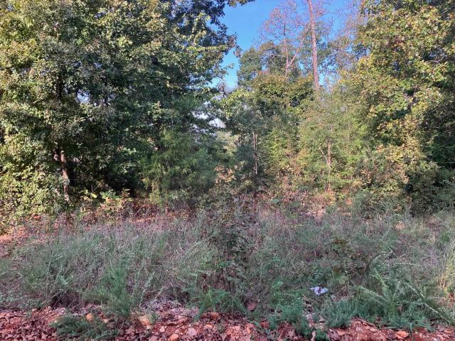 Land for sale in Hardy, Sharp County