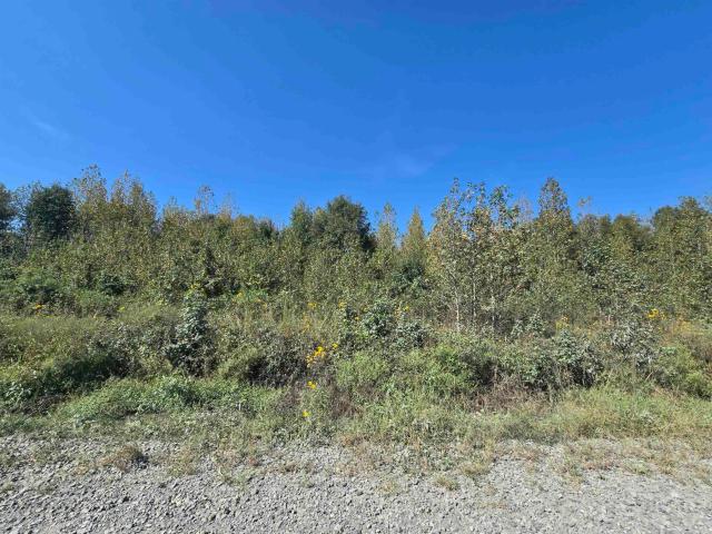 Land for sale in Searcy, White County