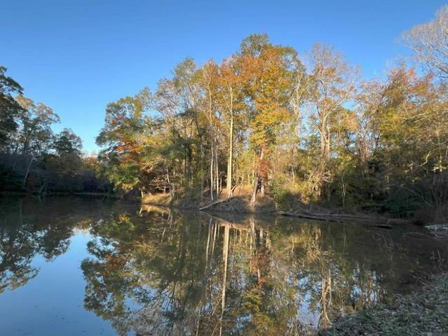 Land for sale in Saint Francisville, Louisiana