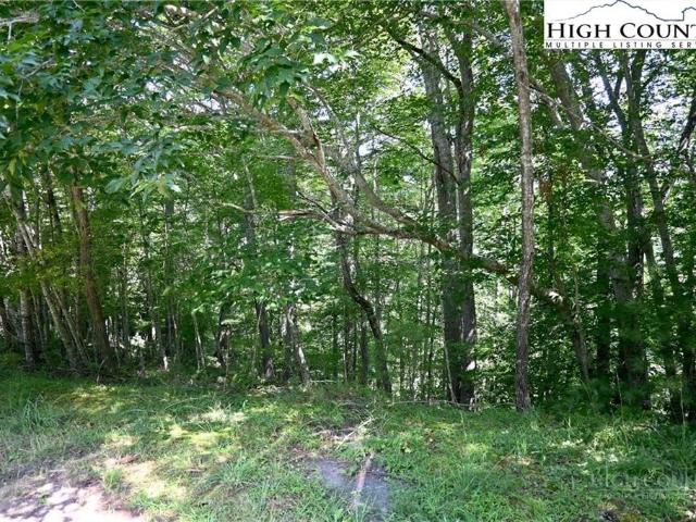 Land for sale in Lansing, North Carolina