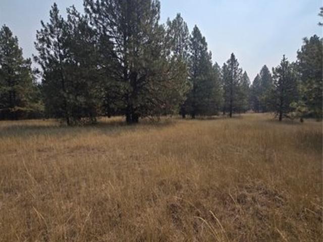 Land for sale in Tonasket, Okanogan County